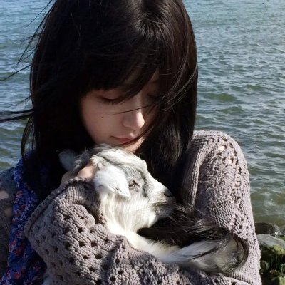 海底小纵队海啸大危机